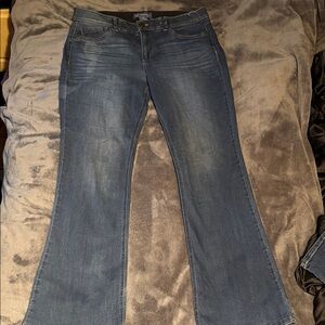 Democracy ABsolution flare jeans